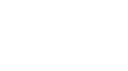 logo-bvi.png